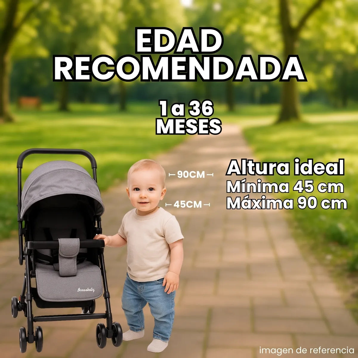 Coche Bebe Moises