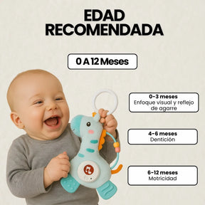 Jirafa Sonajero Y Mordedera Bebe