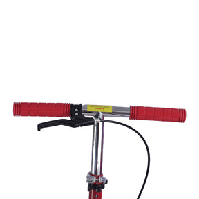 Scooter Grande