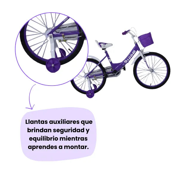 Bicicleta Infantil Rin 20 Para Niñas