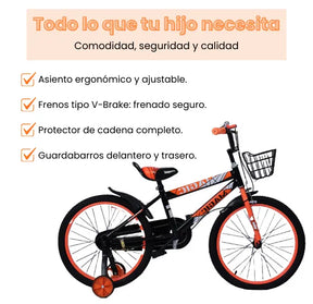 Bicicleta Infantil Rin 20 Para Niño