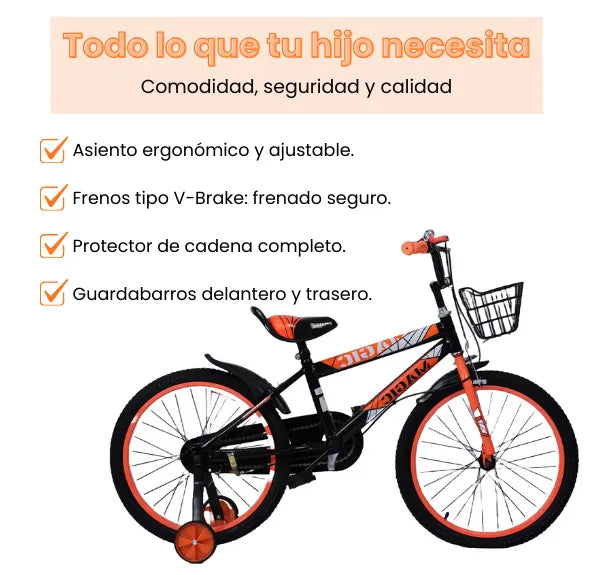 Bicicleta Infantil Rin 20 Para Niño