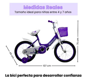 Bicicleta Infantil Rin 16 Para Niña Con Llantas Auxiliares