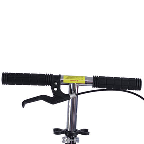Scooter Grande