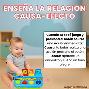 Juego Didactico De Animales Estimulacion Para Bebe