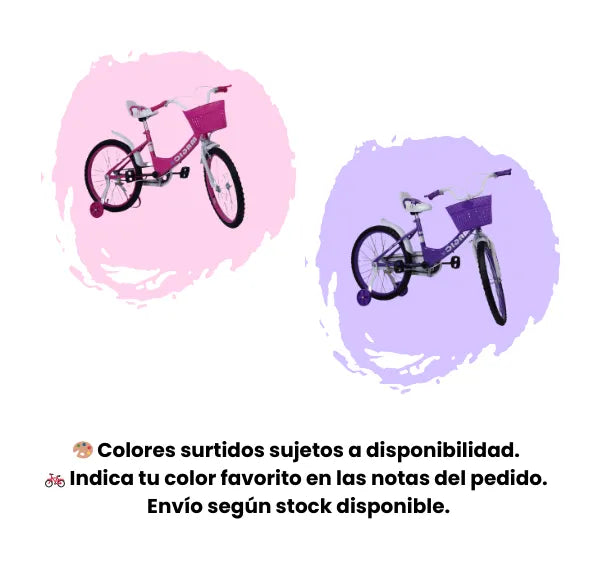 Bicicleta Infantil Rin 20 Para Niñas