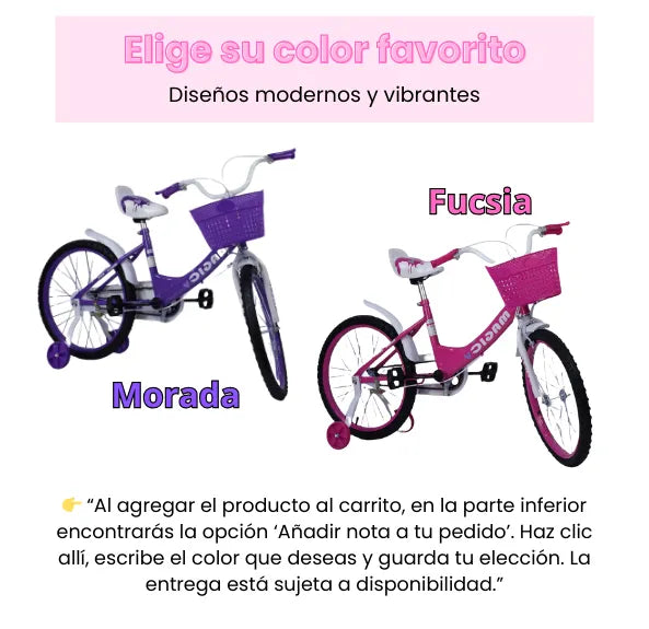 Bicicleta Infantil Rin 20 Para Niñas