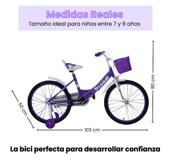 Bicicleta Infantil Rin 20 Para Niñas