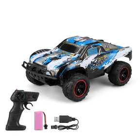 Carro Rc Monster