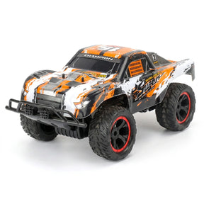 Carro Rc Monster