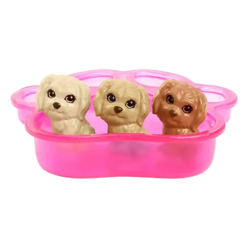 Conjunto De Juego De Muñeca Barbie Y Cachorros Recién Nacidos HCK75