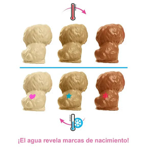 Conjunto De Juego De Muñeca Barbie Y Cachorros Recién Nacidos HCK75